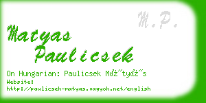 matyas paulicsek business card